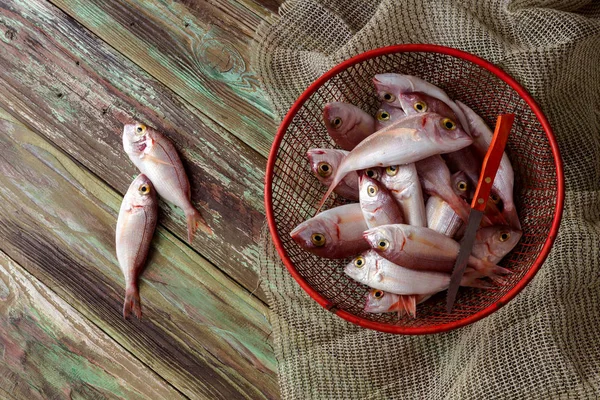 Ahşap arka plan üzerinde taze balık (Pagellus erythrinus) — Stok fotoğraf