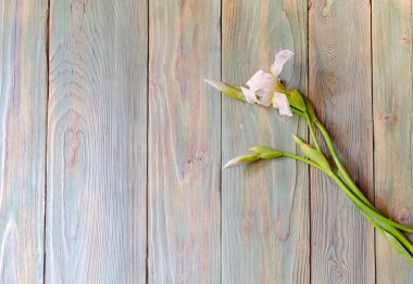 Ahşap arka plan üzerinde beyaz süsen