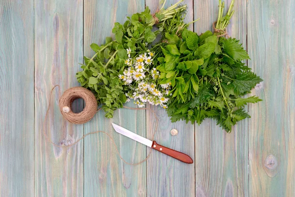 Aromatik, homeopatik otlar yakın çekim