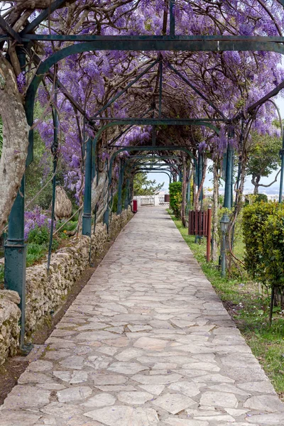 Caminho no parque — Fotografia de Stock