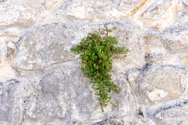 Arka plan bej renkli taşlı duvar eski üretim tesisi ile