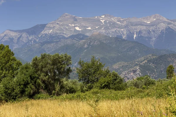 Dağlık alanda dağ çayırı (Yunanistan, Mora) — Stok fotoğraf