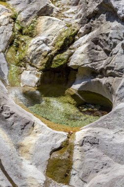 Güneşli bir günde Elikonas dağ nehri (Yunanistan, Pieria, Olimpos Dağı)