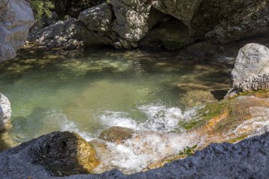 Güneşli bir günde Dağ Nehri Elikonas (Yunanistan, Pieria, Moun
