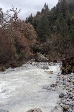 Bir kış gününde küçük bir dağ nehri (Yunanistan, Moreloponese).