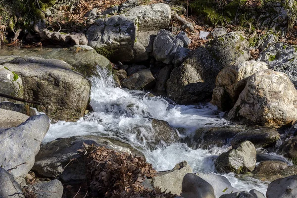 Bir kış gününde küçük bir dağ nehri (Yunanistan, Evia Adası).