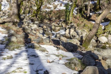 Bir kış gününde küçük bir dağ nehri (Yunanistan, Evia Adası).