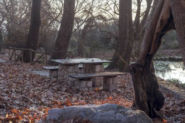 Yunanistan. Bir çınar ağacı ormanında bir kaynak ve banklar.