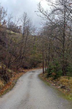 Dağlarda kırsal bir dar yol