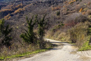Dağlarda kırsal bir dar yol