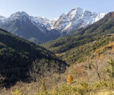 Manzara. Orman ve güzel, kışın karla kaplı yüksek dağlar, güneşli bir gün (Yunanistan, Mora)).