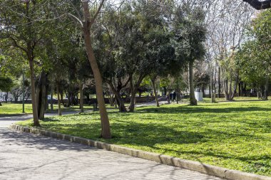 Şehir manzarası. Günümüz Rizari Parkı manzarası şehir merkezinde güneşli bir kış gününde (Atina, Yunanistan)