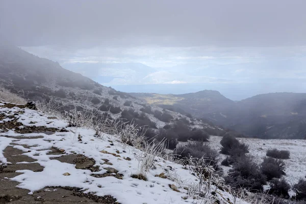 Invierno Las Montañas Bosque Picea Las Tierras Altas Grecia Peloponeso — Foto de Stock