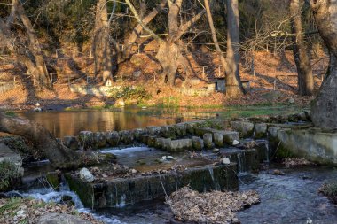 Manzara. Dağ, soğuk ve hızlı bir kaynak, güneşli bir sonbahar akşamında çınar ormanları ve ahşap banklar (Stylida belediyesi, Phthiotis, Orta Yunanistan, Achinos köyü) arasında akar..