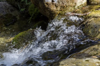 Manzara. Enipeas, Pieria 'daki eski bir nehirdir, güneşli bir yaz gününde ormanın içinde akar (Yunanistan, Olimpos Dağı)).