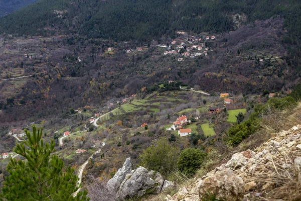 Inverno Montagna Foresta Abete Rosso Villaggio Sugli Altopiani Grecia Peloponneso — Foto Stock