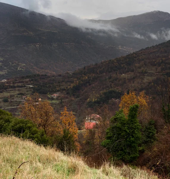 Krajobraz Góry Lasy Tonące Mgle Pochmurny Zimowy Dzień Peloponez Grecja — Zdjęcie stockowe