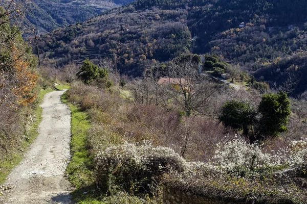 Smal Lantlig Väg Bergen Vintern Solig Dag Grekland Peloponnesos Bergskedja — Stockfoto