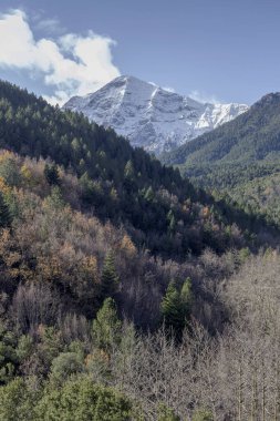 Dağlarda kış. Kışın, soğuk ve karlı bir günde, çam ormanlarıyla kaplanmış (Yunanistan, Mora) karlı dağların manzarası