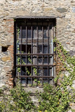 Doku. Arka plandaki eski bej duvar doğal taştan yapılmış. Pencere ve bitkilerle birlikte.