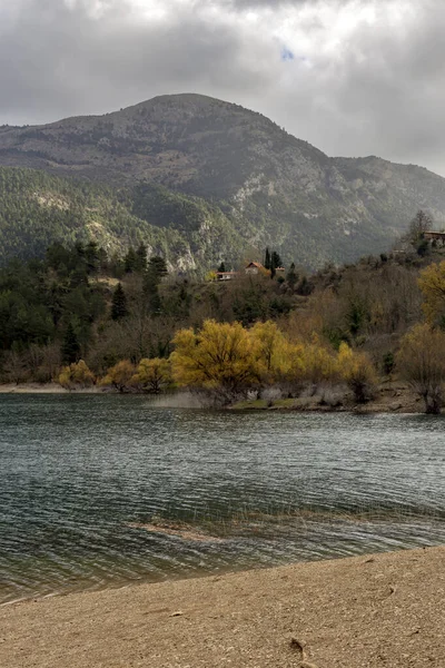Uma Vista Lago Tsivilu Natural Peloponnesus Grécia Floresta Abetos Montanhas — Fotografia de Stock