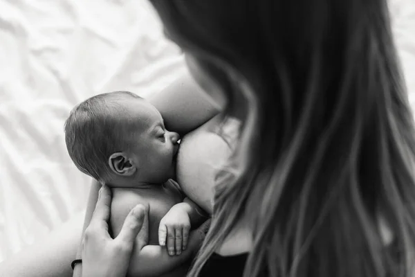 Madre Joven Amamanta Recién Nacido Primer Plano Recién Nacido Pecho —  Fotos de Stock