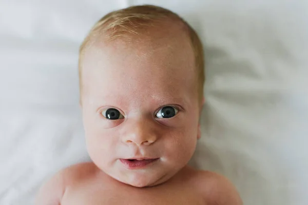 Niedliches Neugeborenes Schaut Die Kamera Nahaufnahme — Stockfoto