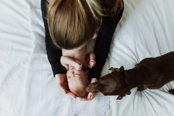 Uma Jovem Mãe Abraça Recém Nascido Cama Enquanto Cão Beija — Fotografia de Stock