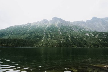 Güzel bir göl ve dağ manzarası..