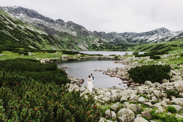 Schöne Braut Und Bräutigam Umarmen Und Küssen Sich Den Bergen — Stockfoto