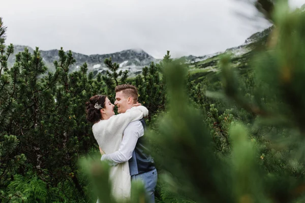 美丽的新娘和新郎在山里的松树旁拥抱欢笑 — 图库照片