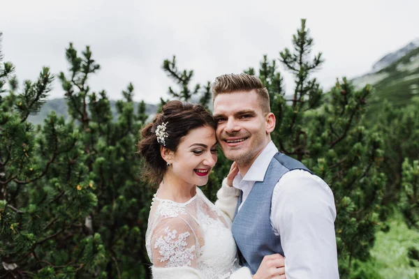 Schöne Braut Und Bräutigam Umarmen Und Lachen Bei Den Kiefern — Stockfoto