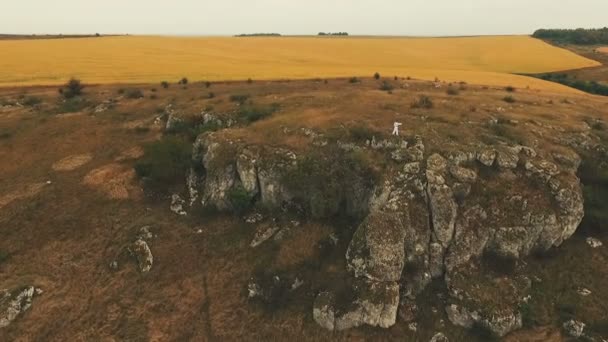 Widok z lotu ptaka złotych skał i pól — Wideo stockowe