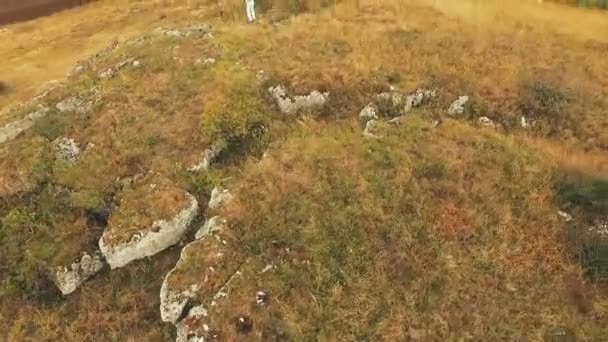 Vista aérea do karatê de treinamento pelo mestre na rocha dourada — Vídeo de Stock