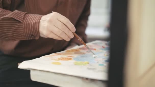 Artist painting with paintbrush. Close-up — Stock Video