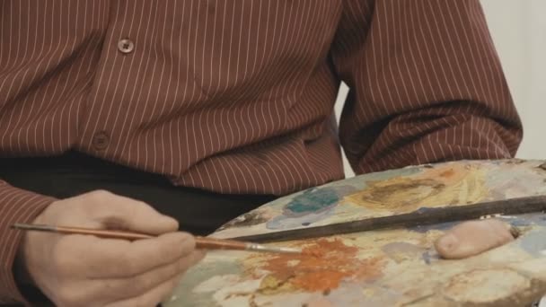 O pintor mistura tinta na paleta — Vídeo de Stock