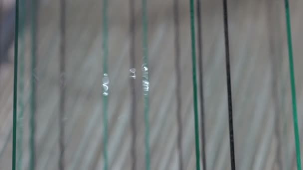 Виробництво скла на віконному заводі — стокове відео