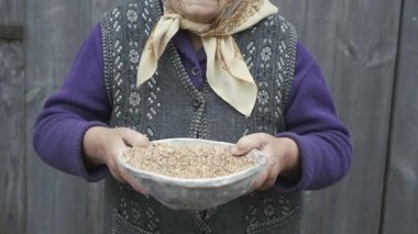 Çok eski gülümseyen kadın portresi kase 4k elinde buğday taneleri ile