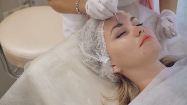 Wenkbrauwen verven behandeling met natuurlijke henna kleurstof door visagist — Stockvideo