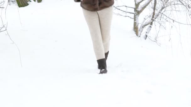 Csinos lány hófehér nap séta a parkban. Lassan — Stock videók