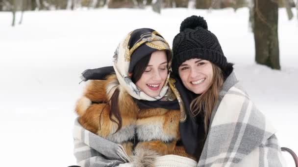 Two girls covered in plaid embracing and smiling in the winter park. Slowly — Stock Video