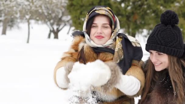 Duas raparigas felizes a sorrir e a vomitar neve no parque. Devagar. — Vídeo de Stock