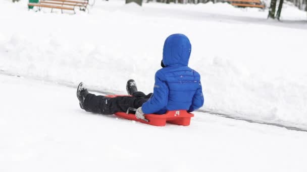 Child riding on the sled in winter park. Slowly — Stock Video
