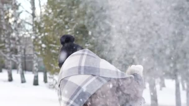 Zwei Mädchen spielen im Park mit Schneebällen. langsam — Stockvideo