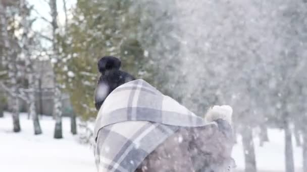 Dos chicas jugando con bolas de nieve en el parque. Despacio. — Vídeos de Stock