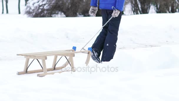 Παιδί Καβάλα στο έλκηθρο στο χειμερινό πάρκο. Σιγά-σιγά — Αρχείο Βίντεο