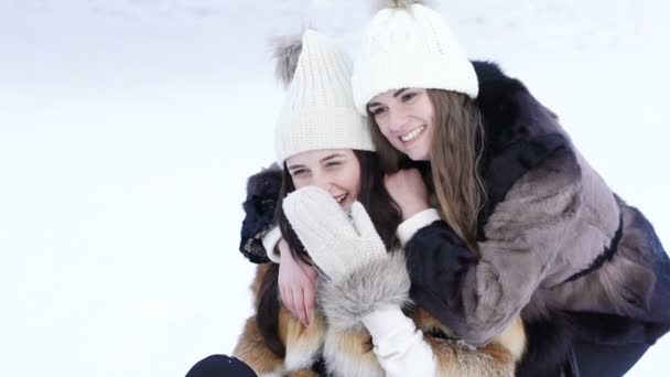 Дві красиві дівчата позують для селфі в зимовому парку. Повільно — стокове відео
