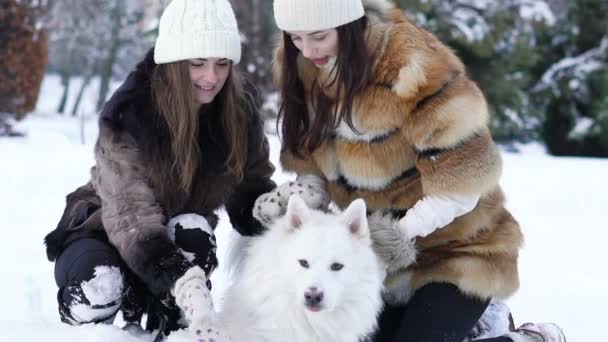 Twee meisjes spelen met witte husky hond in sneeuw. Slow motion — Stockvideo