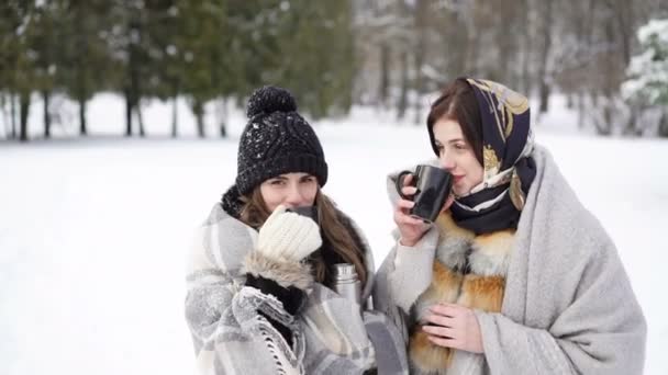 Two girls covered in warm plaid drinking hot tea in winter park 4K — Stock Video