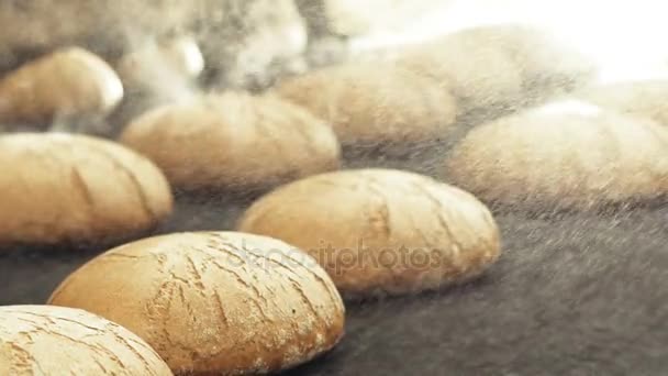 Närbild av massor av nybakat bröd. Långsamt — Stockvideo